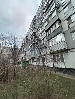 3 ���. ��������, 73 ��. �., 4/9 ����