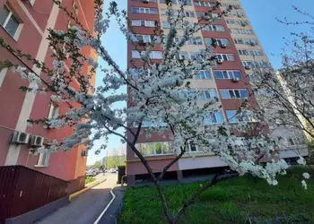 2 ��. ��������, 74 ��. �., 6/15 ������