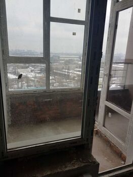 1 ���. ��������, 47 ��. �., 23/24 ����