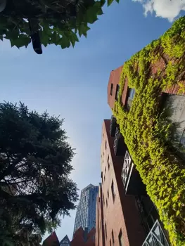 5 . , 300 . ., 7/7 