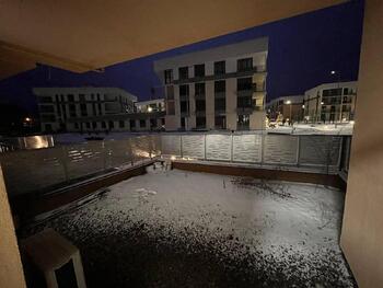 1 ���. ��������, 65 ��. �., 1/4 ����