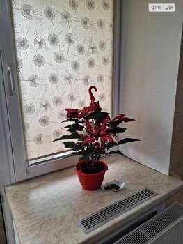 1 ��. ��������, 40 ��. �., 1/5 ������