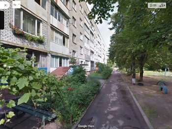 3 ���. ��������, 69 ��. �., 5/5 ����