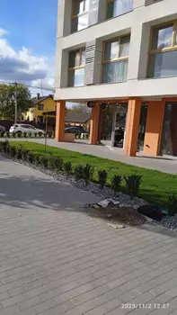 1 . , 39 . ., 2/10 