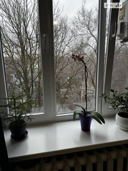 2 . , 55 . ., 4/4 
