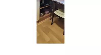 2 ���. ��������, 41 ��. �., 3/5 ����