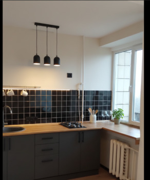 1 ���. ��������, 30,5 ��. �., 8/9 ����