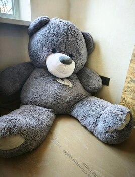 2 ���. ��������, 44,1 ��. �., 4/5 ����