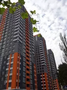 2 ���. ��������, 67 ��. �., 2/24 ����