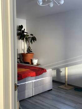 2 ���. ��������, 60 ��. �., 1/5 ����