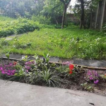 1 ���. ��������, 23 ��. �., 1/3 ����