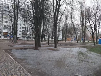 2 . , 54 . ., 2/9 