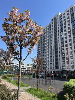 1 ��. ��������, 40 ��. �., 4/16 ������