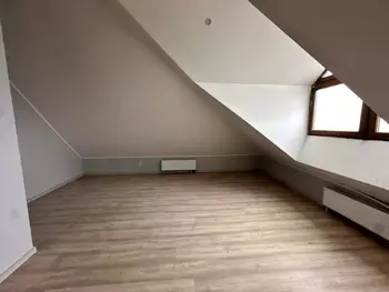 3 ���. ��������, 142 ��. �., 5/5 ����