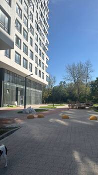 1 . , 41,66 . ., 18/18 