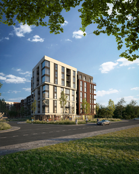 1 ��. ��������, 41 ��. �., 8/8 ������