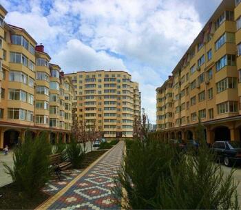 2 ���. ��������, 84 ��. �., 6/6 ����