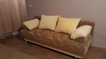 1 ���. ��������, 23 ��. �., 2/9 ����