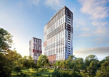 1 . , 38,9 . ., 12/24 