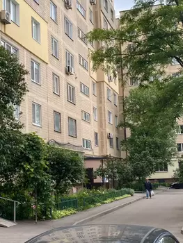 2 ���. ��������, 54 ��. �., 9/9 ����