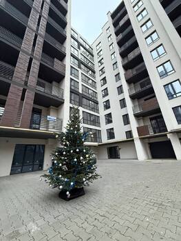 1 ���. ��������, 55 ��. �., 6/10 ����