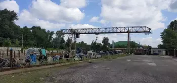  , 10000 <sup>2</sup>