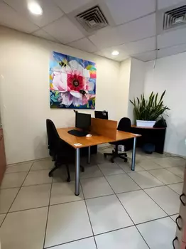 ��� �����, 102 �<sup>2</sup>, 7/21 ������