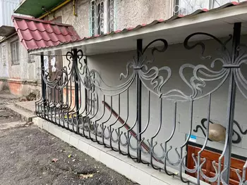  , 156 <sup>2</sup>, 1/1 