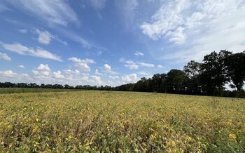 ��������� �������, ����� 1 ��