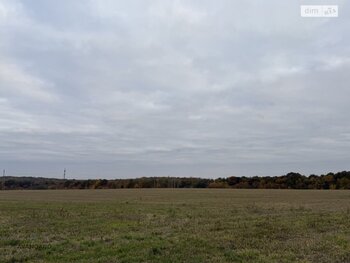 �������� ������, ����� 186 ���