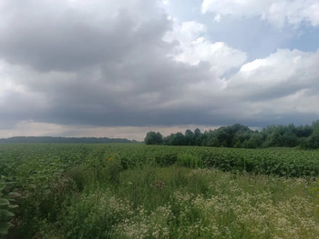 ��������� �������, ����� 130 ���