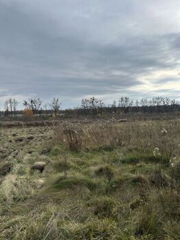 �������� ������, ����� 10 ���