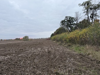 �������� ������, ����� 4 ���