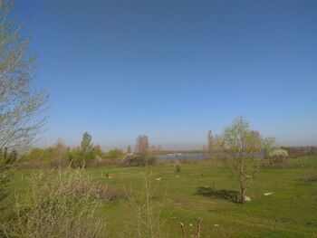 ��������� �������, ����� 10 ���