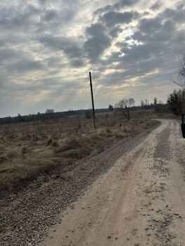 ��������� �������, ����� 8 ���