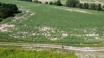 �������� ������, ����� 200