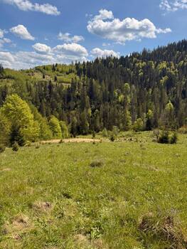 �������� ������, ����� 100