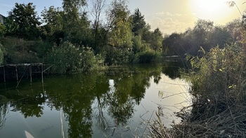  ,  25
