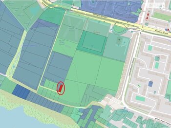 �������� ������, ����� 5 ���