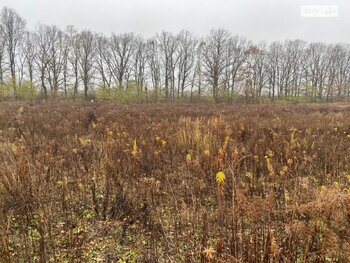 �������� ������, ����� 6 ���