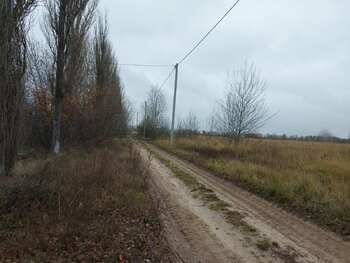 �������� ������, ����� 19 ���