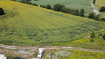 �������� ������, ����� 200