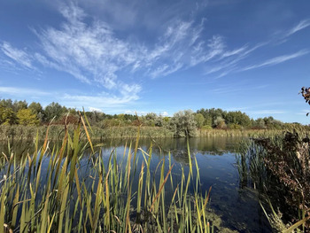 �������� ������, ����� 20 ���