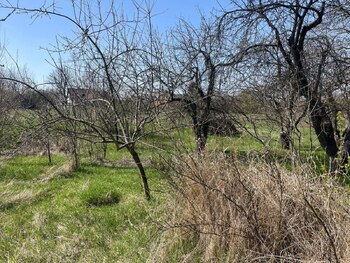 ��������� �������, ����� 25 ���