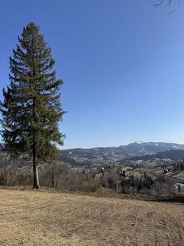 ��������� �������, ����� 125 ���