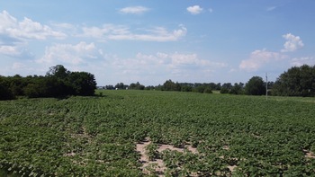  ,  200