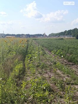 �������� ������, ����� 10