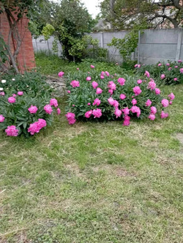 ��������� �������, ����� 9 ���