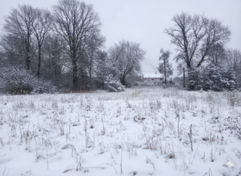 �������� ������, ����� 15