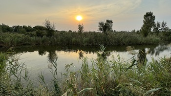  ,  25